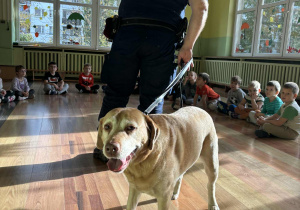 Dzieci z grupy "Pszczółki" podczas zajęć ze Strażą Miejską