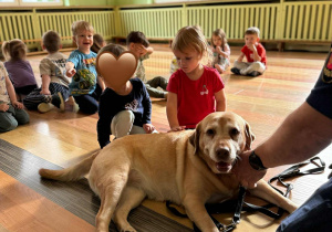 Dzieci z grupy "Nutki" podczas zajęć ze Strażą Miejską