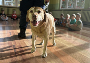 Dzieci z grupy "Pszczółki" podczas zajęć ze Strażą Miejską