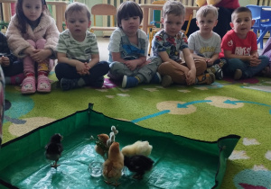 Dzieci z grupy Tygryski podczas warsztatów wiosennych