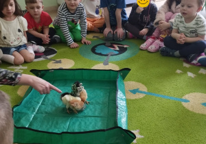 Dzieci z grupy Tygryski podczas warsztatów wiosennych